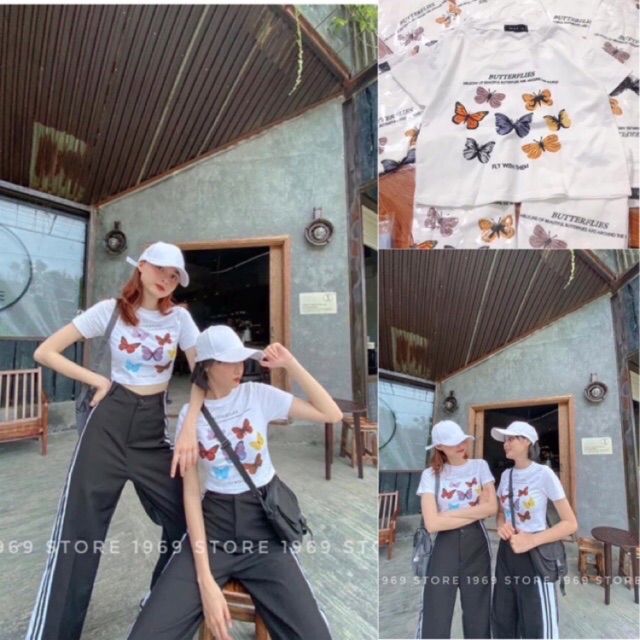 Áo croptop bướm ngũ săc (croptop đẹp)