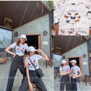 Áo croptop bướm ngũ săc