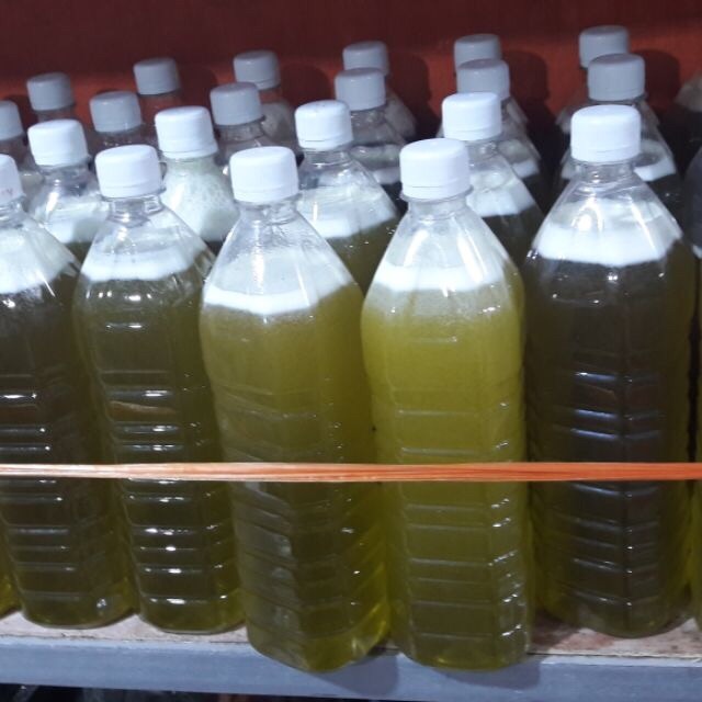 Mật Ong Bạc Hà 1L