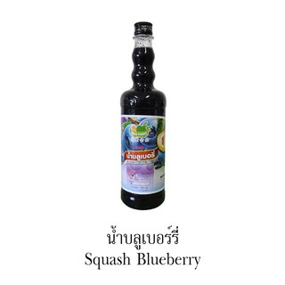 Siro việt quất thái ding fong 755ml