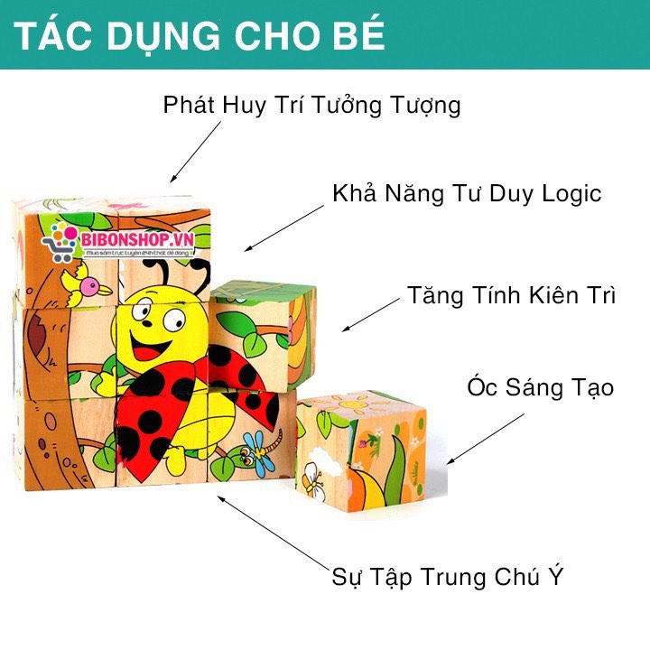 Đồ chơi tranh ghép gỗ 6 mặt 9 miếng- xếp hình 3D đa chiều khối cục cho bé