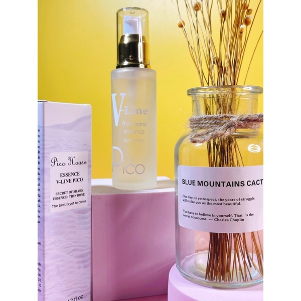 (Mua 1 tặng 10)Tinh chất Thon Gọn Mặt V-Line Pico | BigBuy360 - bigbuy360.vn