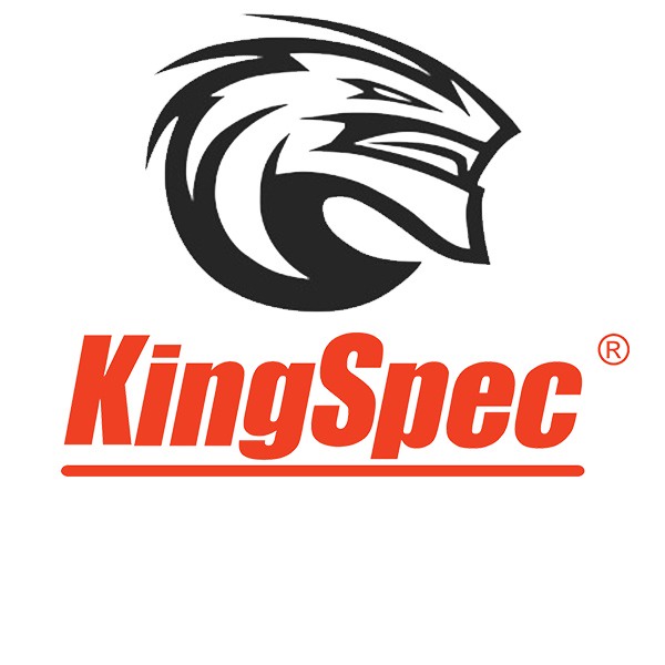 KingSpec Official Store