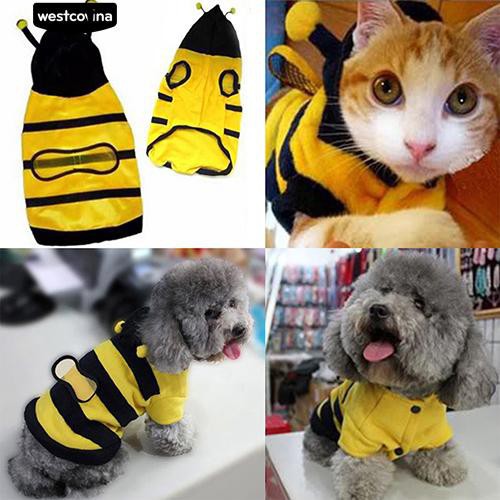 Áo nỉ họa tiết chú ong xinh xắn cho thú cưng