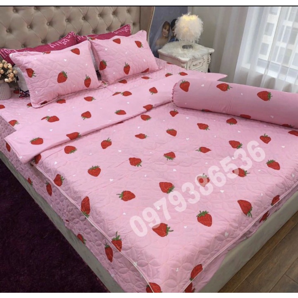 bộ chăn ga gối phủ trần bông xẻ góc 5 món