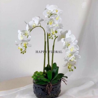 Cành lan hồ điệp 7bông