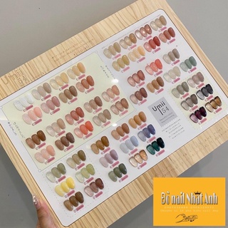 set sơn thạch umi 54 màu
