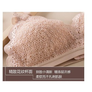 Áo ren Nhật Cao Cấp