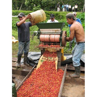 500G CÀ PHÊ ROBUSTA RANG MỘC - IN TIME COFFEE