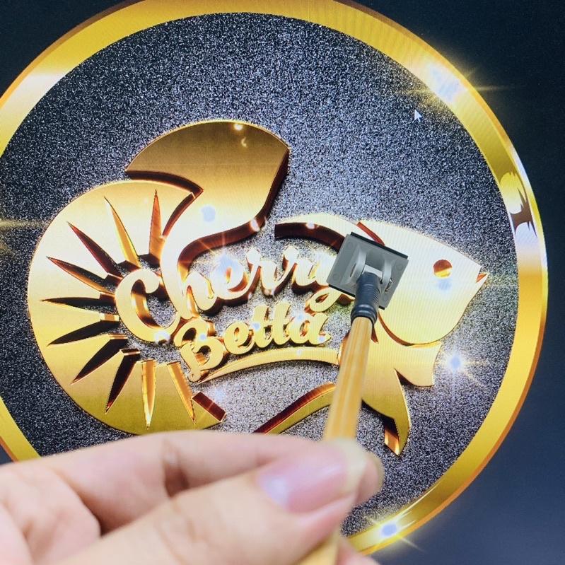 Kính kè cá Betta - Huấn luyện Betta sung hơn