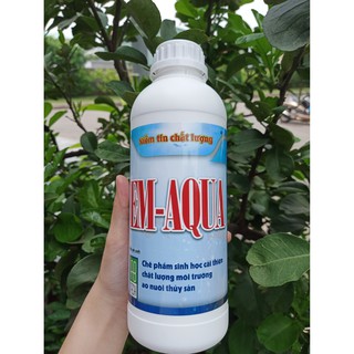 CHẾ PHẨM SINH HỌC EM AQUA - Xử Lý Chất Hữu Cơ Và Kiểm Soát Tảo Trong Nước Ao Nuôi (Chai 1 Lít)