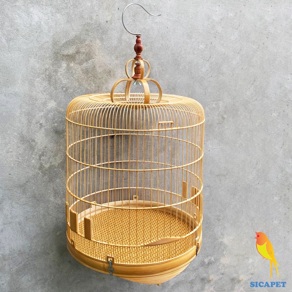 Lồng chim biên hòa dũi chỉ, Lồng chích chòe, White-rumped shama cage, Copsychus saularis SICAPET