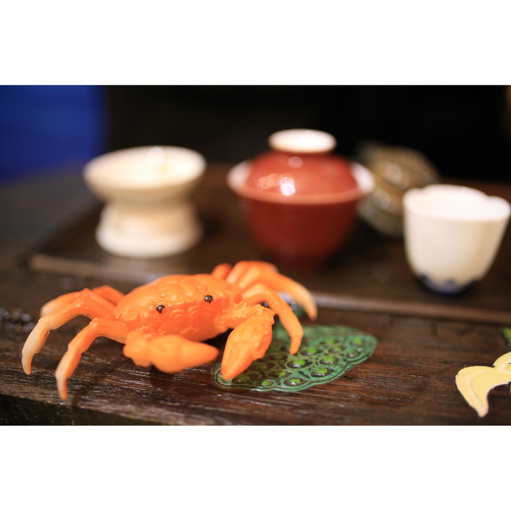 Cua Đổi Màu Lớn, Cua đổi màu khi rót nước nóng, Pet bàn trà.