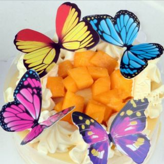 5 con bươm bướm giấy dán tường, trang trí handmade