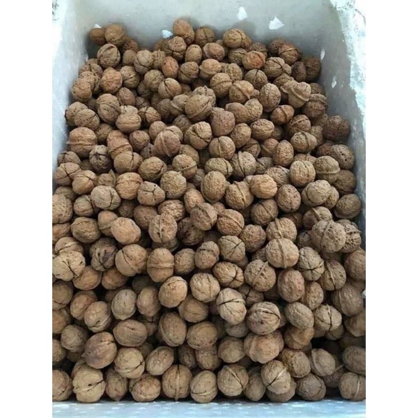 1kg nhân quả óc chó đỏ nhập khẩu từ Mỹ, hàng loại 1, cánh nguyên