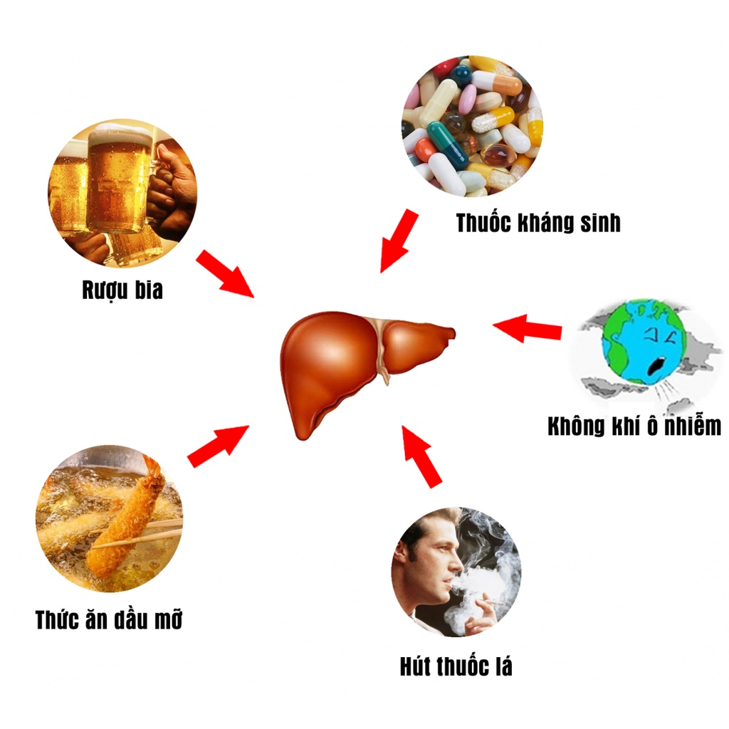 Viên uống Cao kế sữa bổ gan, thải độc gan Puritan's Pride Milk Thistle Extract 1000mg Silymarin 90v 180 viên của Mỹ