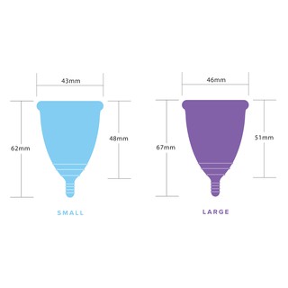 Cốc nguyệt san Eva cup (Hàng chính hãng. Tặng kèm túi vải và cốc tiệt trùng)