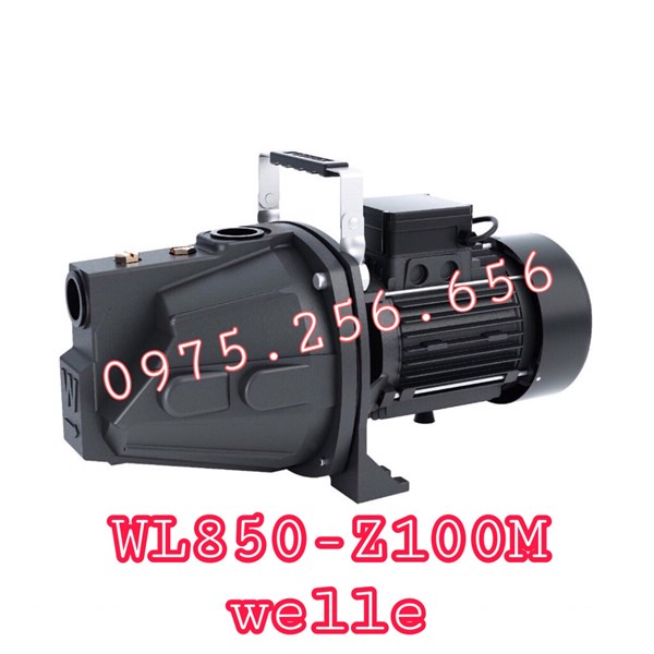 Bơm nước WL850-Z100M Welle
