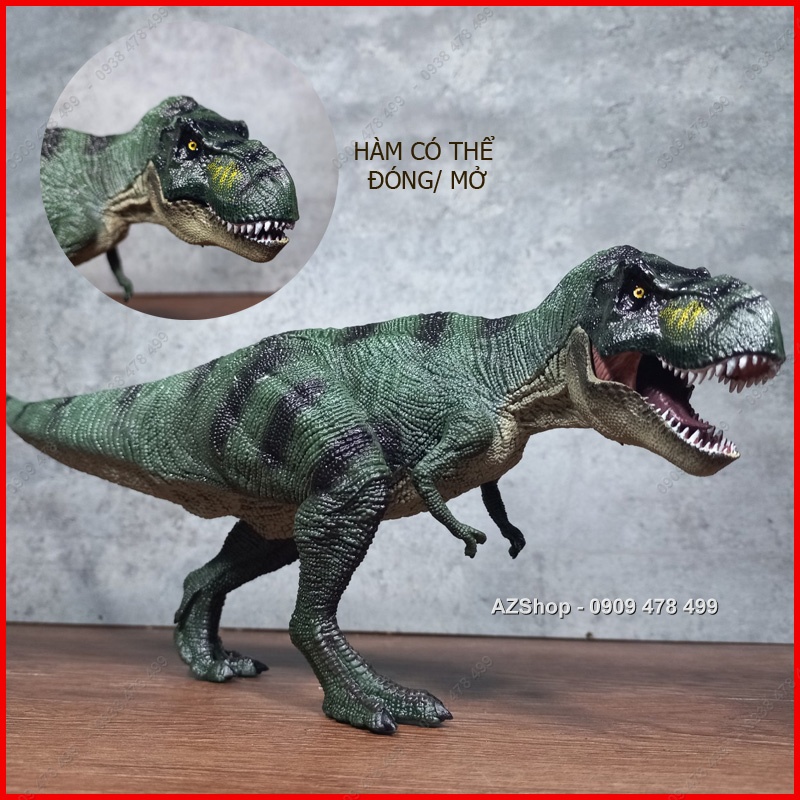 Mô Hình Khủng Long Bạo Chúa T-Rex -7732.3