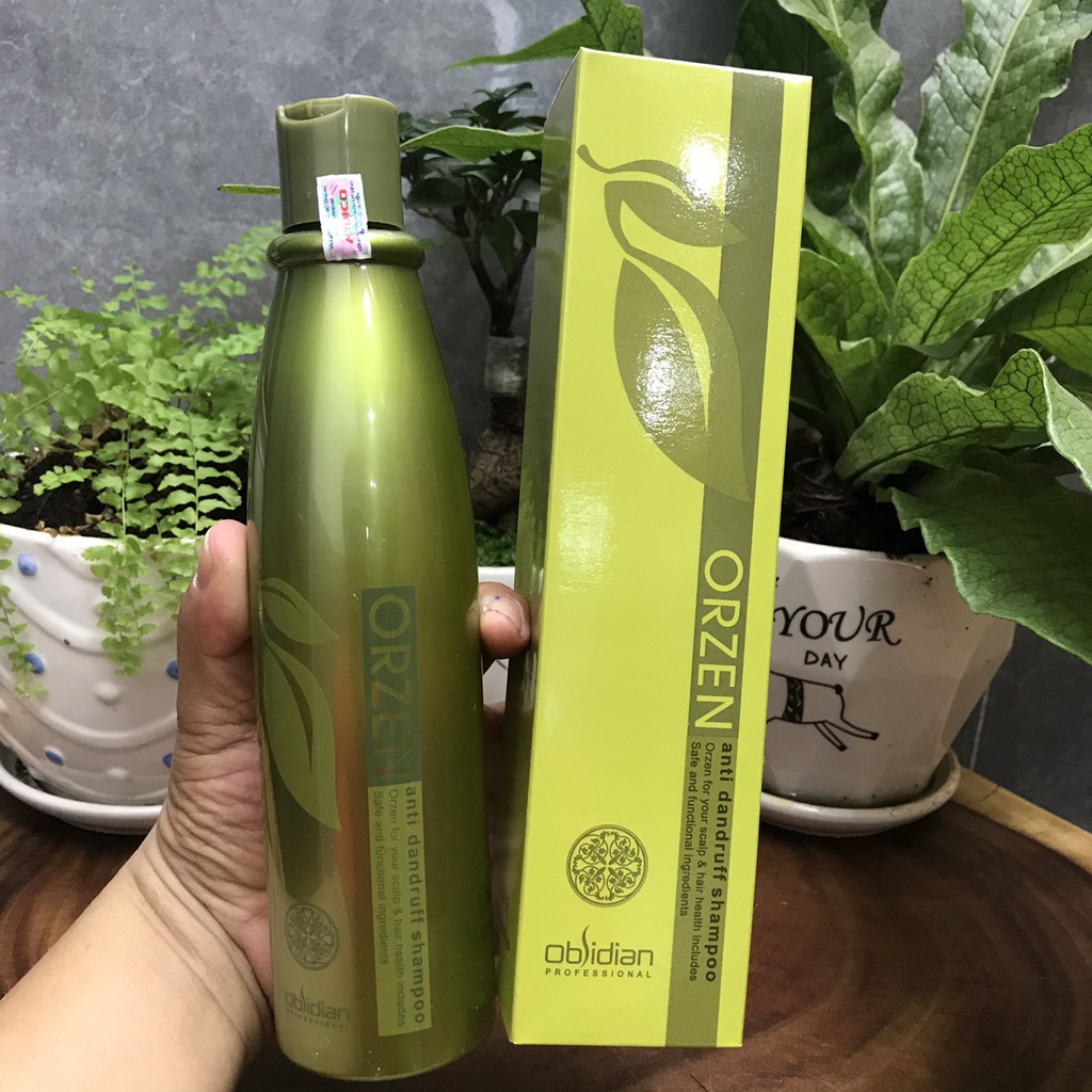 Combo Dầu gội hạn chế gàu - vảy nến  và mặt nạ chống rụng tóc Orzen Orgahealing Shampoo and Mask Obsidian 320ml/200ml