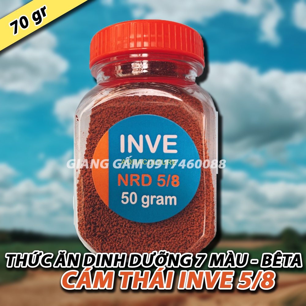 CÁM THÁI INVE 5/8  50G