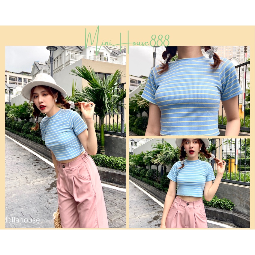 (Ảnh Thật , Sẵn ) Quần Tây Ống Suông Phối Croptop Gân Tay ngắn sọc màu Minihouse888