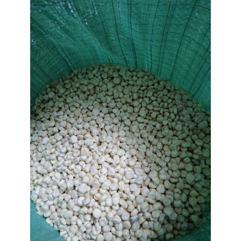 Ngô nếp khô 500gr