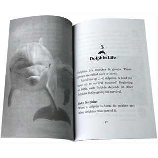Bộ nhập 40q - MAGIC TREE HOUSE - FACT TRACKER