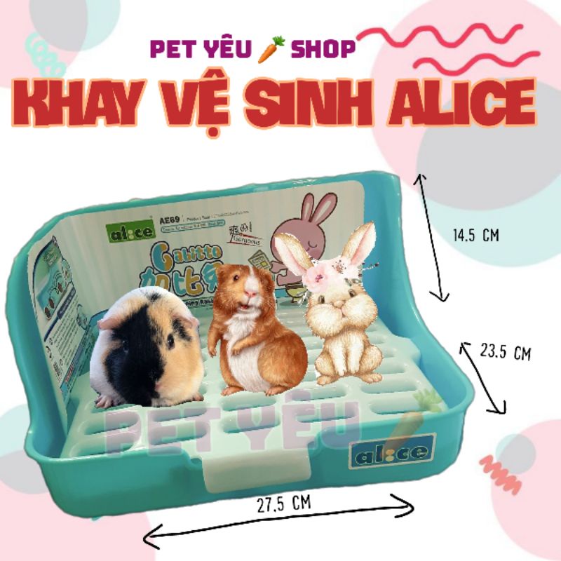 Khay vệ sinh size đại (44×34×18cm) dành chọ thỏ bọ.chinchilla và.sóc 🦫