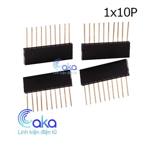 Hàng rào cái đơn chân dài, Jump cái đơn chân dài 1x10P