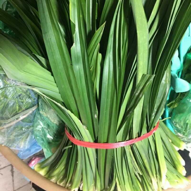lá dứa thơm (lá nếp thơm)1kg