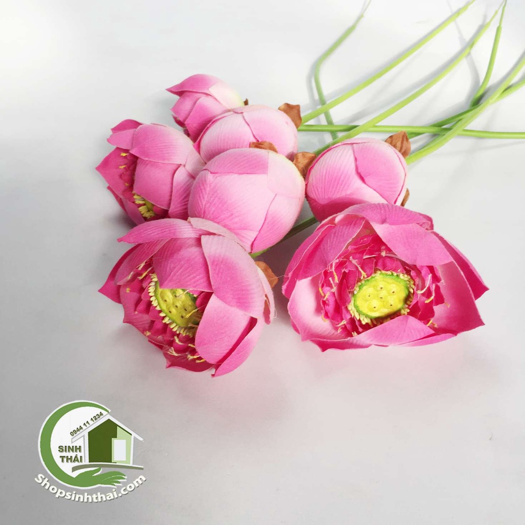 Cành nụ hoa sen giả màu hồng, trắng, hoa sen nở màu hồng - cành sen vải lụa cao cấp - Chọn loại
