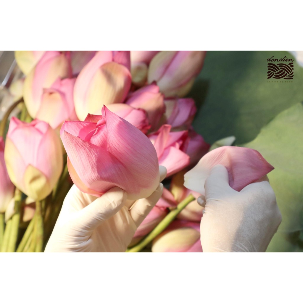 Nước Thơm theo mùa (Toner) Đồn Điền - 100ml | Tự chọn mùi hương | BigBuy360 - bigbuy360.vn