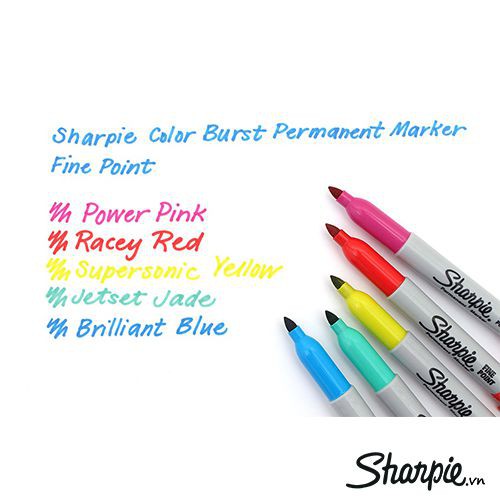 Vỉ Bút lông dầu vẽ đa chất liệu Sharpie Fine Point 12 màu
