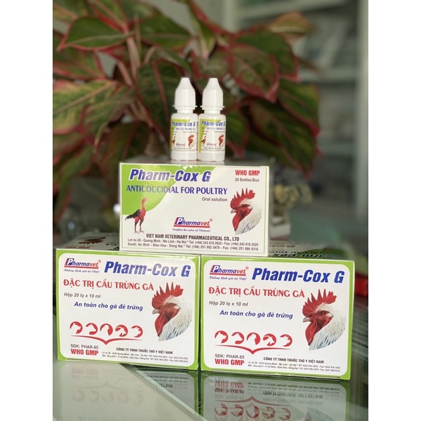 Combo 5lọ Cầu trùng lọ 10ml dành cho gà