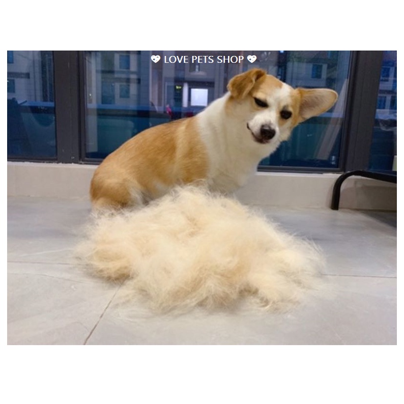 LƯỢC CHẢI LÔNG CHO CHÓ MÈO CHUYÊN DỤNG -  LOVE PETS SHOP