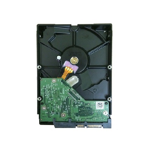 Ổ cứng HDD Tím 500Gb PC BH 3 năm | BigBuy360 - bigbuy360.vn