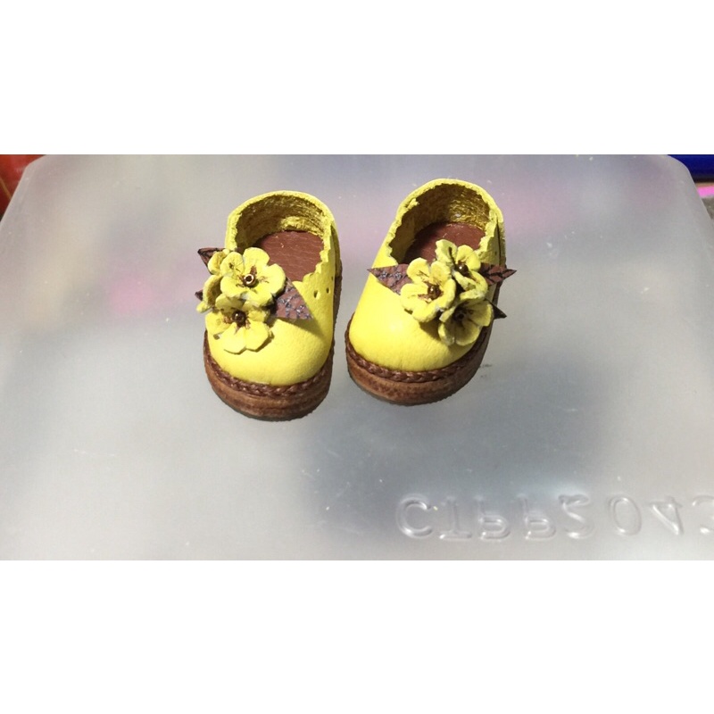 Giày sz 1/6