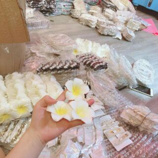 Set kẹp tóc
