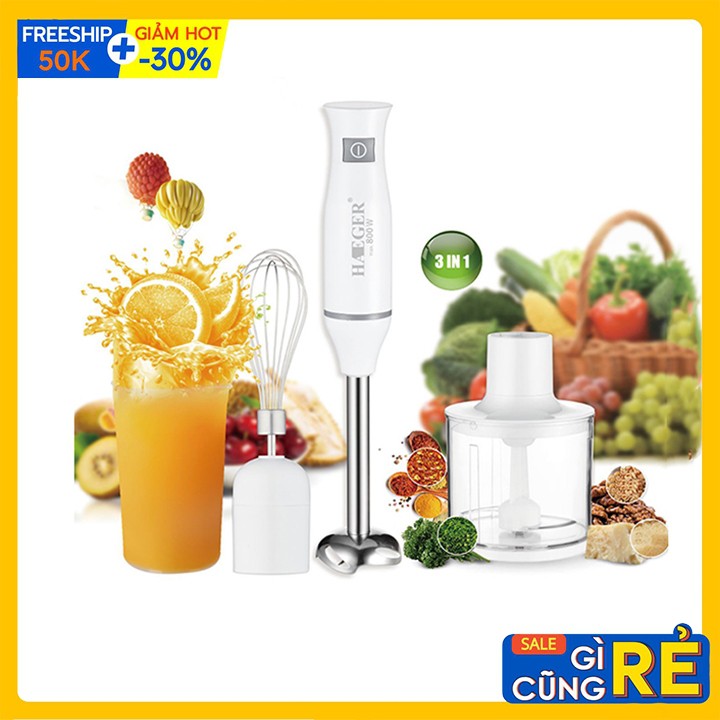 Máy xay cầm tay chế biến đồ ăn dặm chính hãng Haeger 750W 4 IN 1