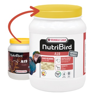 Bột đút chim non a19 gói 100g