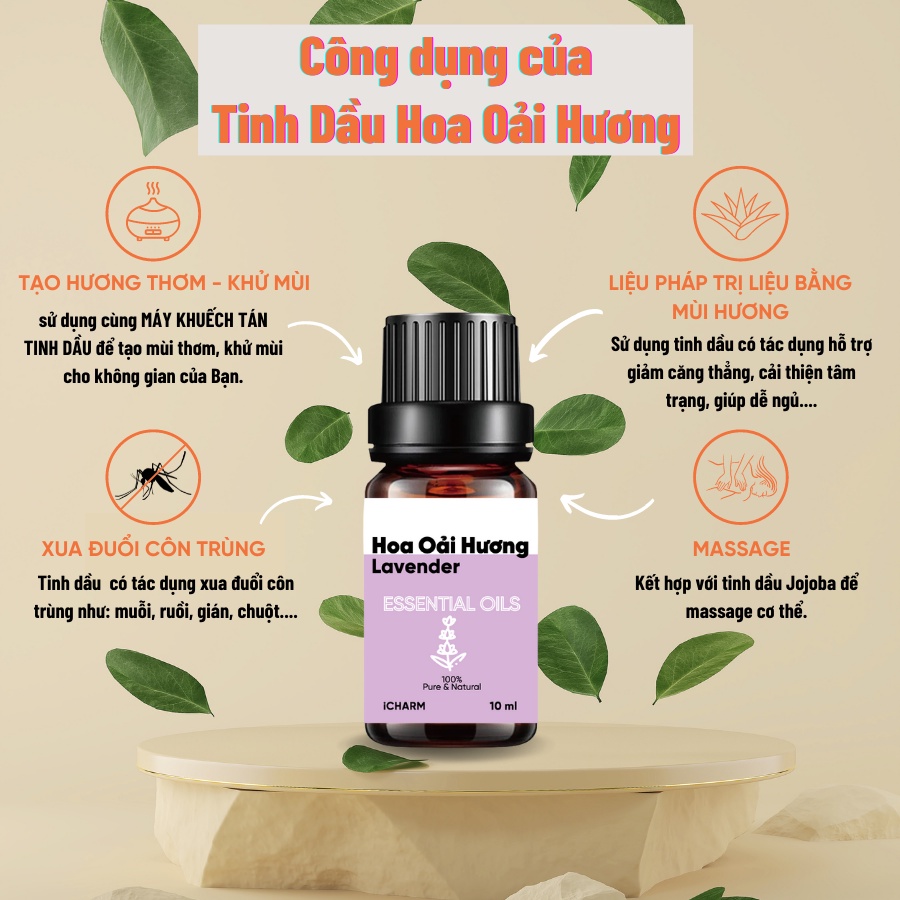 Tinh dầu hoa oải hương 100ml iCHARM [lavender essential oil] nguyên chất 100%, không pha loãng, không tạp chất