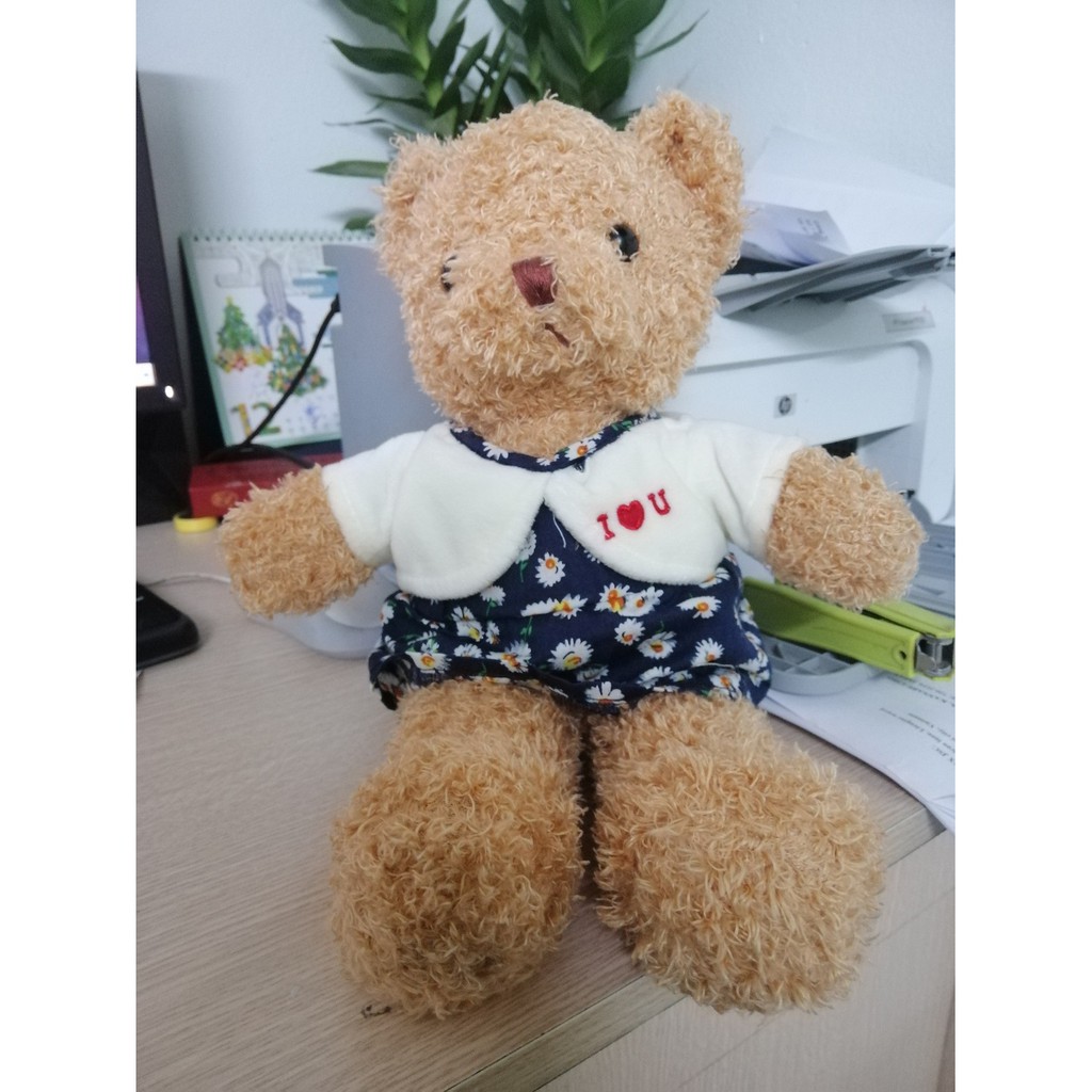 Gấu bông Teddy Hug me cao 28cm