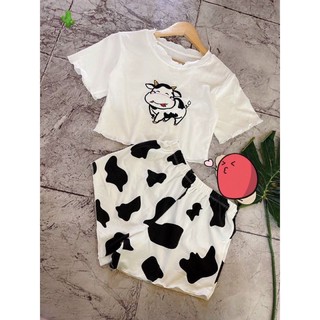 Sét bò sữa hót 2021