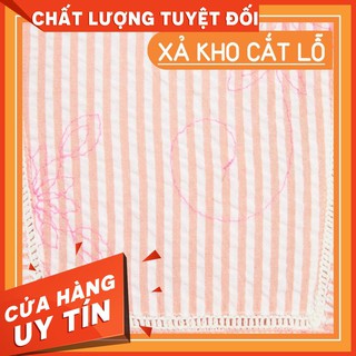 [THANH LÍ GIÁ NHẬP] Váy kẻ thêu họa tiết