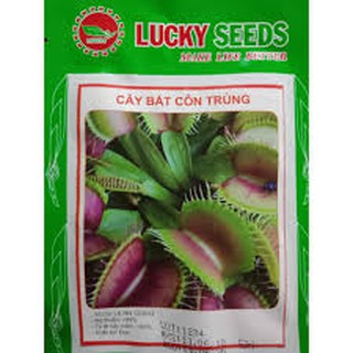 HẠT GIỐNG CÂY BẮT MỒI (5H)