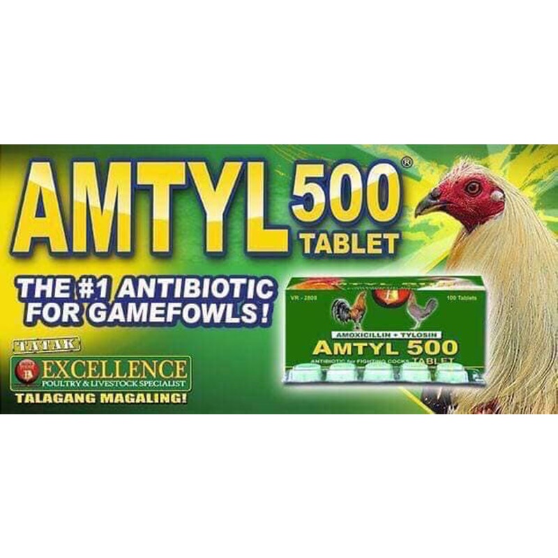 AMTYL 500 sỗ mũi, khò khè, tiêu chảy, 1 vỉ 10 viên