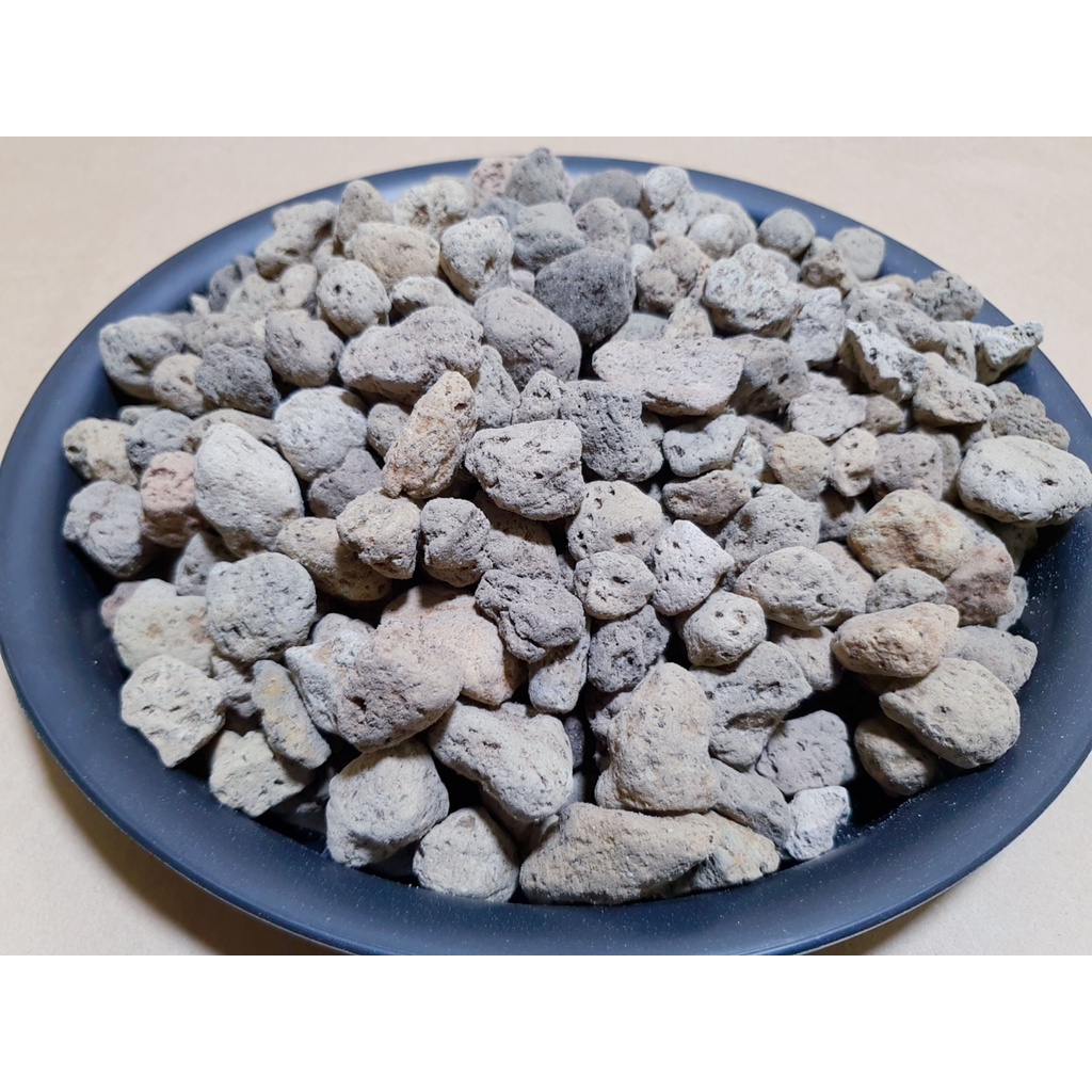 Đá Pumice Chiết Túi 1KG Size 1-2CM - Trồng Cây Sen Đá, Kiểng Lá, Xương Rồng, Phong Lan