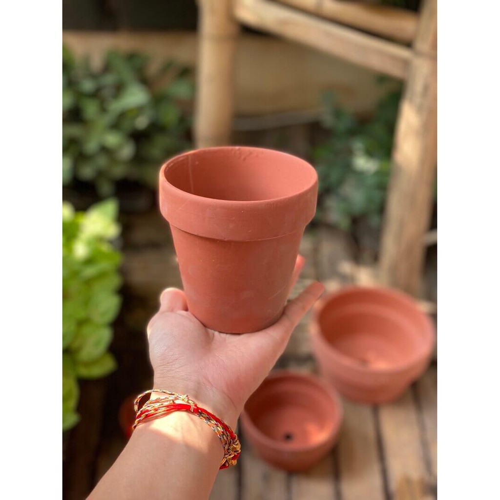 Chậu đất nung trồng cây cảnh, Bonsai Terracotta pots BatTrang (Trắng, Nâu, Cao, Thấp) hàng Bát Tràng