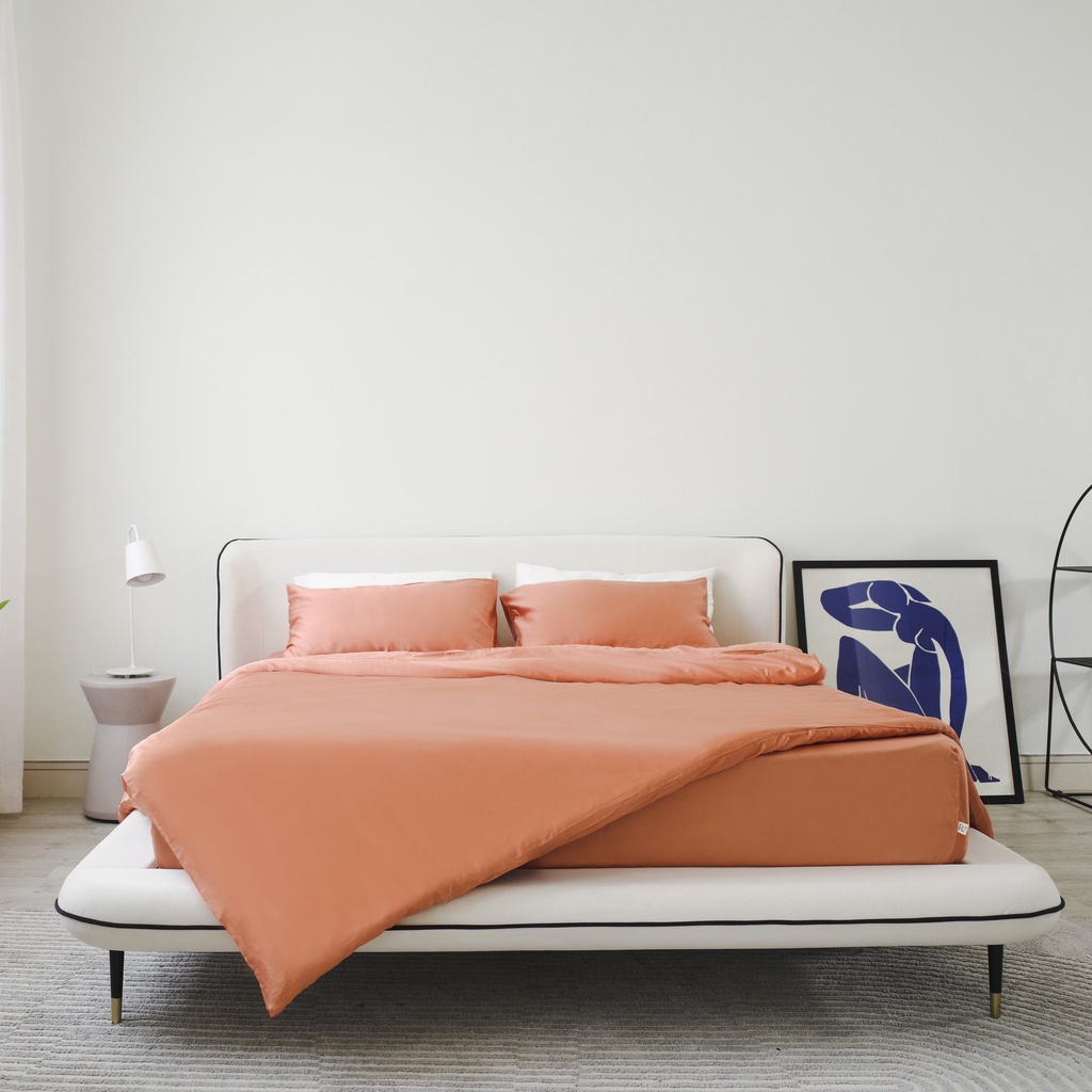 Bộ Ga Giường Tencel Cao Cấp Ru9 - 1m8x2m - Mềm Mại, Thoáng Khí, Chống Khuẩn, Bền Bỉ - 9 Màu